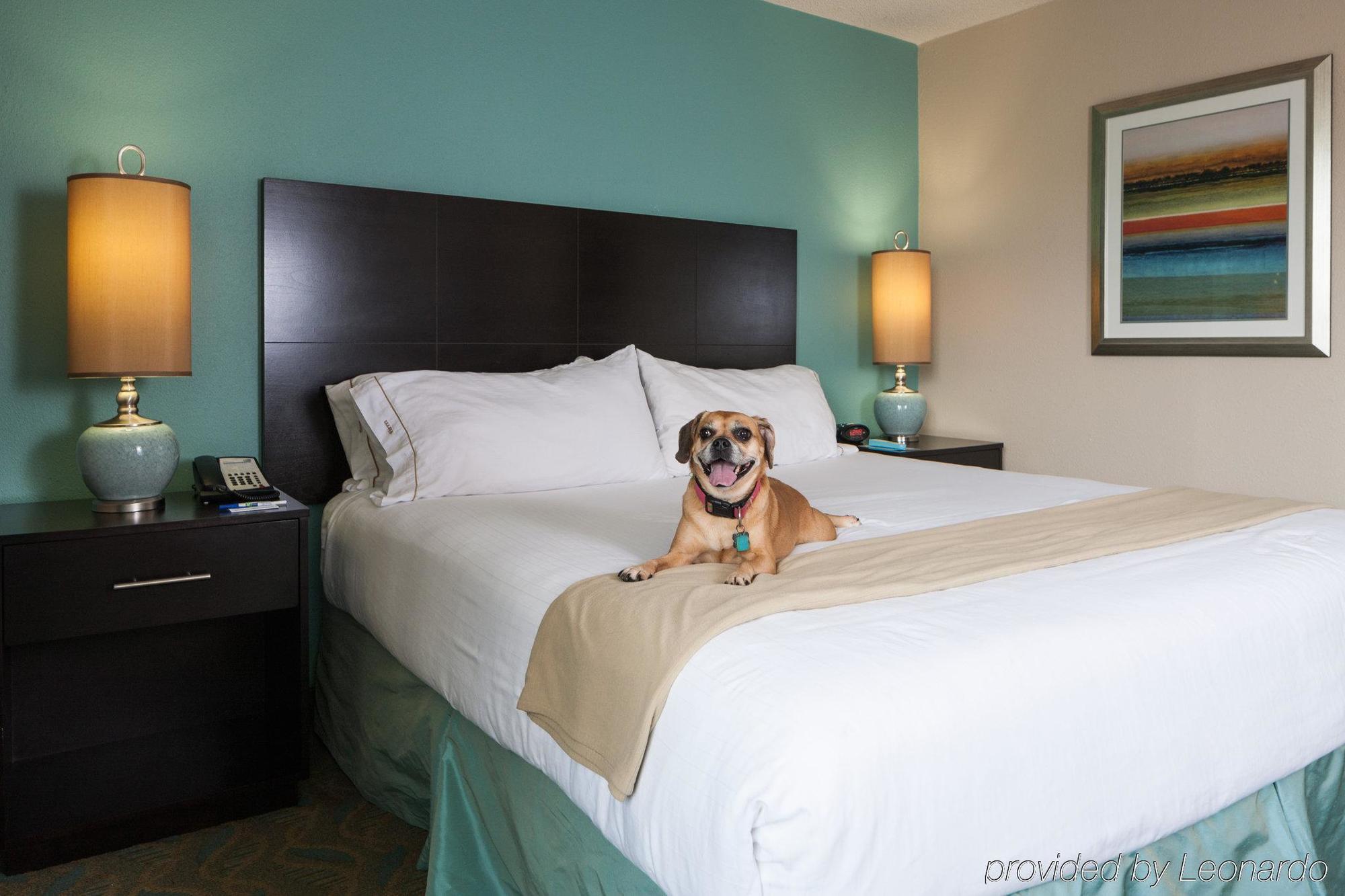 Holiday Inn Express & Suites Charleston Dwtn -Westedge By Ihg Exterior foto